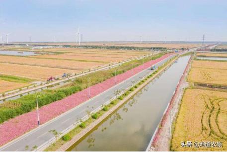 浙江慈溪现代农业产业园大胆创新改革,用人才带动发展