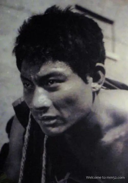 抒情散文目录,十年抒情散文