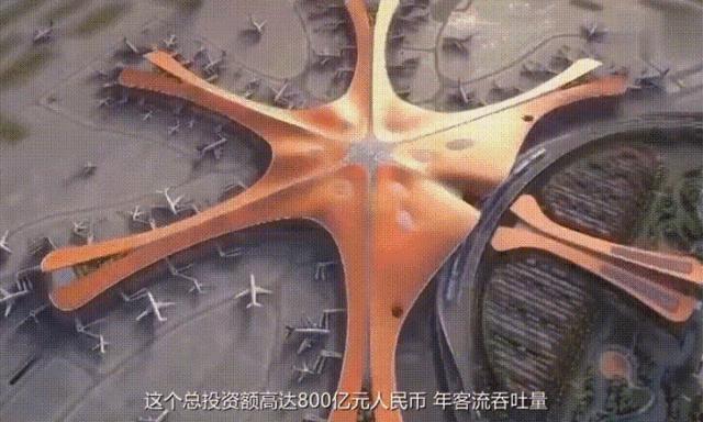 大兴机场多牛,大兴国际机场牛在哪