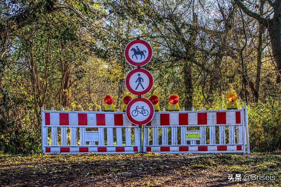 自我介绍模板只需要说5点,自我介绍模板个人情况