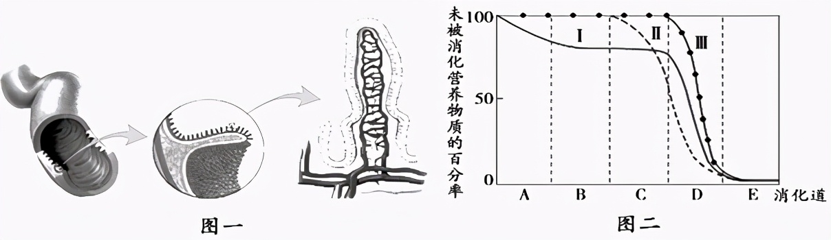 临沂罗庄七下生物期中试卷,临沂七下生物期中试卷