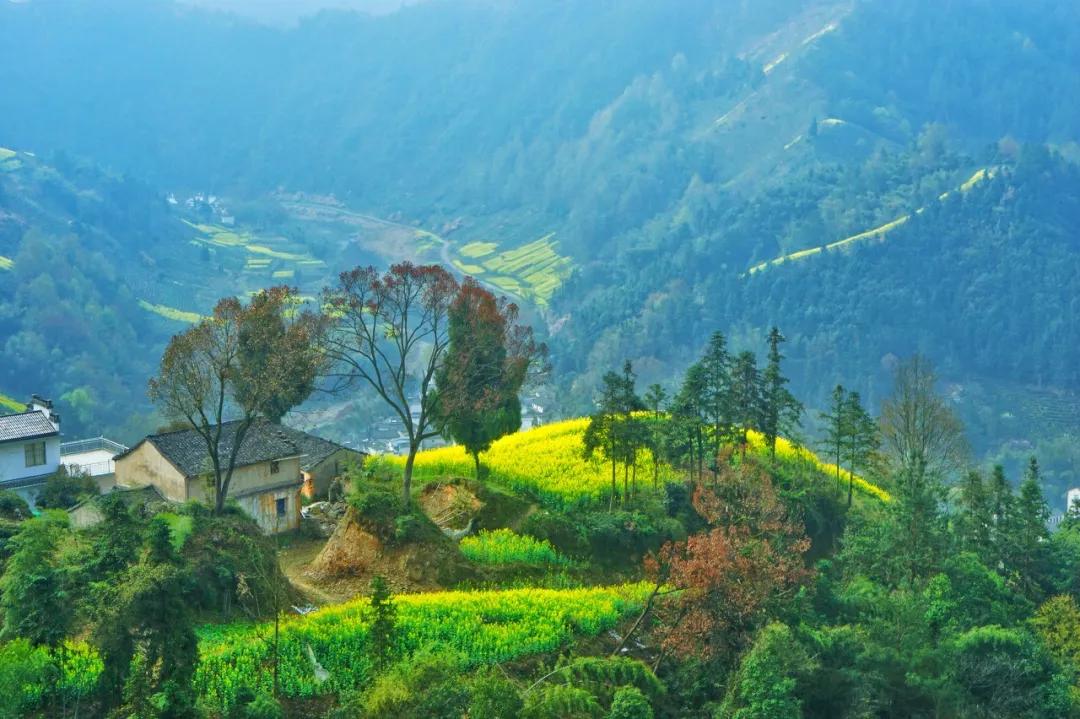 安徽春天美丽的视频,安徽美丽的春天