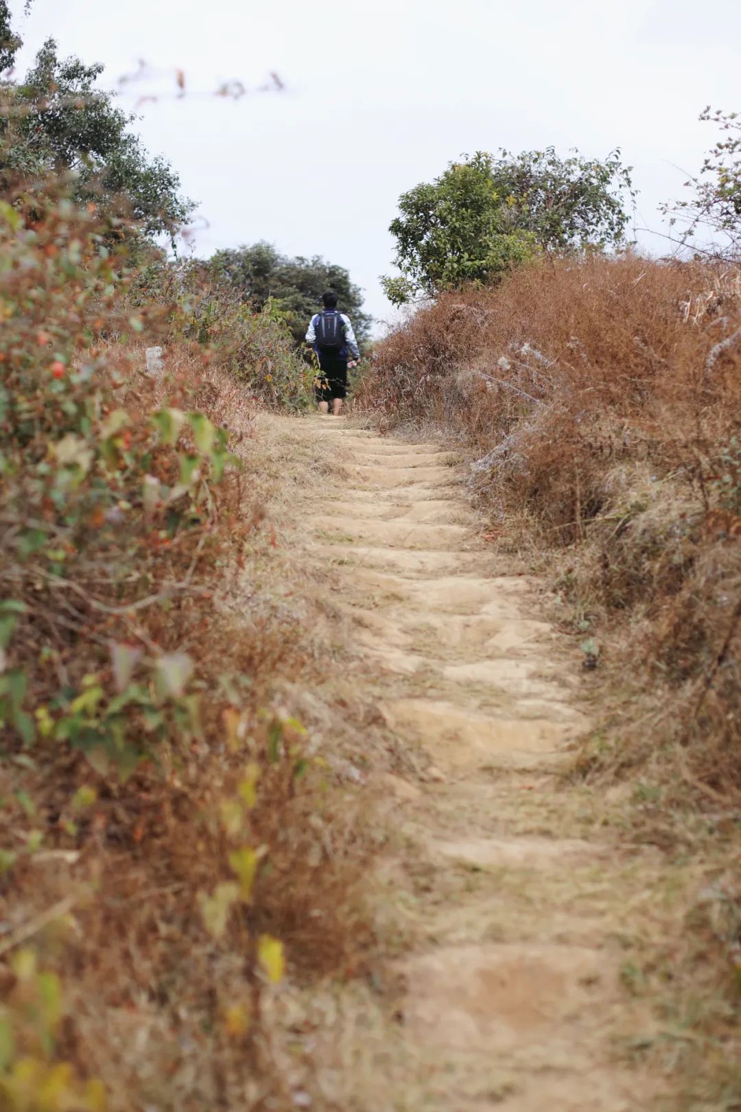 苏州女子6次腾冲旅行,总结了这些极美的小众景点,建议收藏