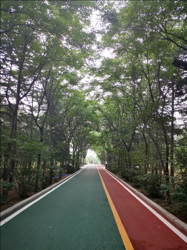 周山森林体育公园,周山公园都有什么运动