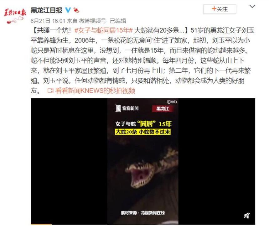 7斤重！五步蛇与狗大战，狗被咬身亡，它毒性多强，人遇到咋办？