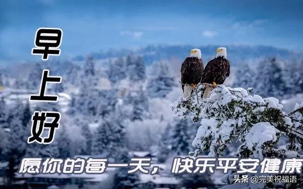 早安问候牵挂精美短句,早安问候一个人的句子