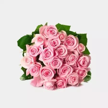 玫瑰大全|说到玫瑰只能想到红玫瑰的,建议你好看看本文!