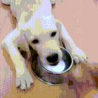 三编,三编是什么