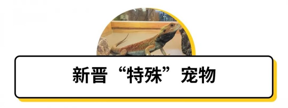 不去后悔去了更加后悔的景点,不去后悔去的景点