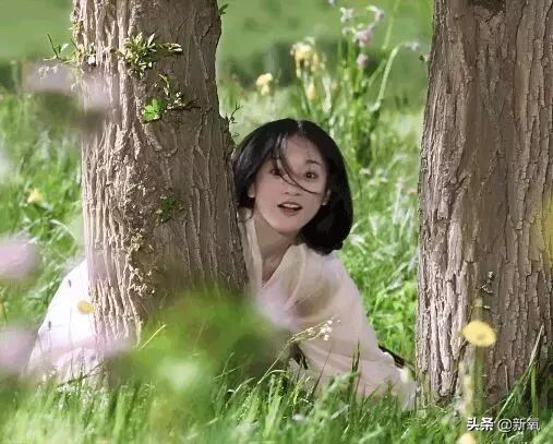 哪个省的男生颜值最高,哪个省颜值最高