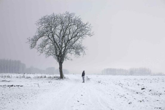 陆游清商怨葭萌驿作,清商怨葭萌驿作诗词