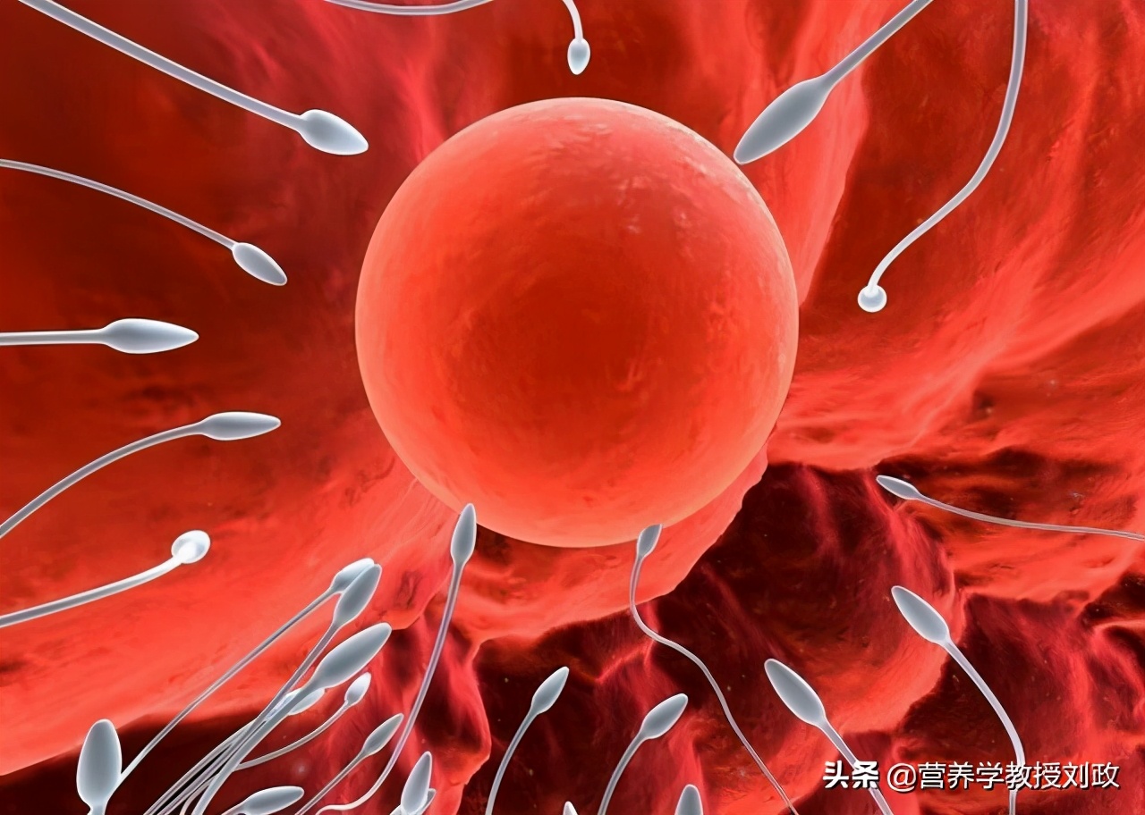 男人生殖障碍吃什么药副作用小,男性生殖障碍中医还是西医治疗