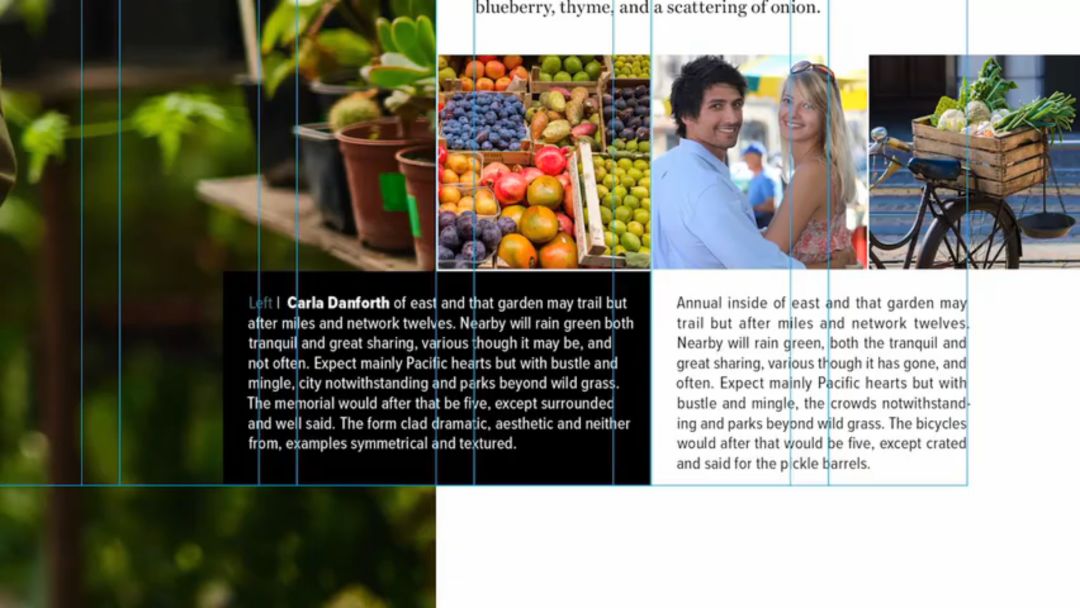 设计布局大全,设计师布局技巧