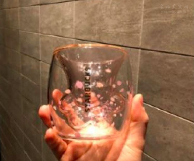 猫爪杯真的很贵吗,猫爪杯杯子价格