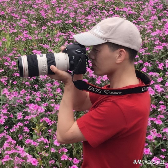 山语听溪,可以缓缓醉矣