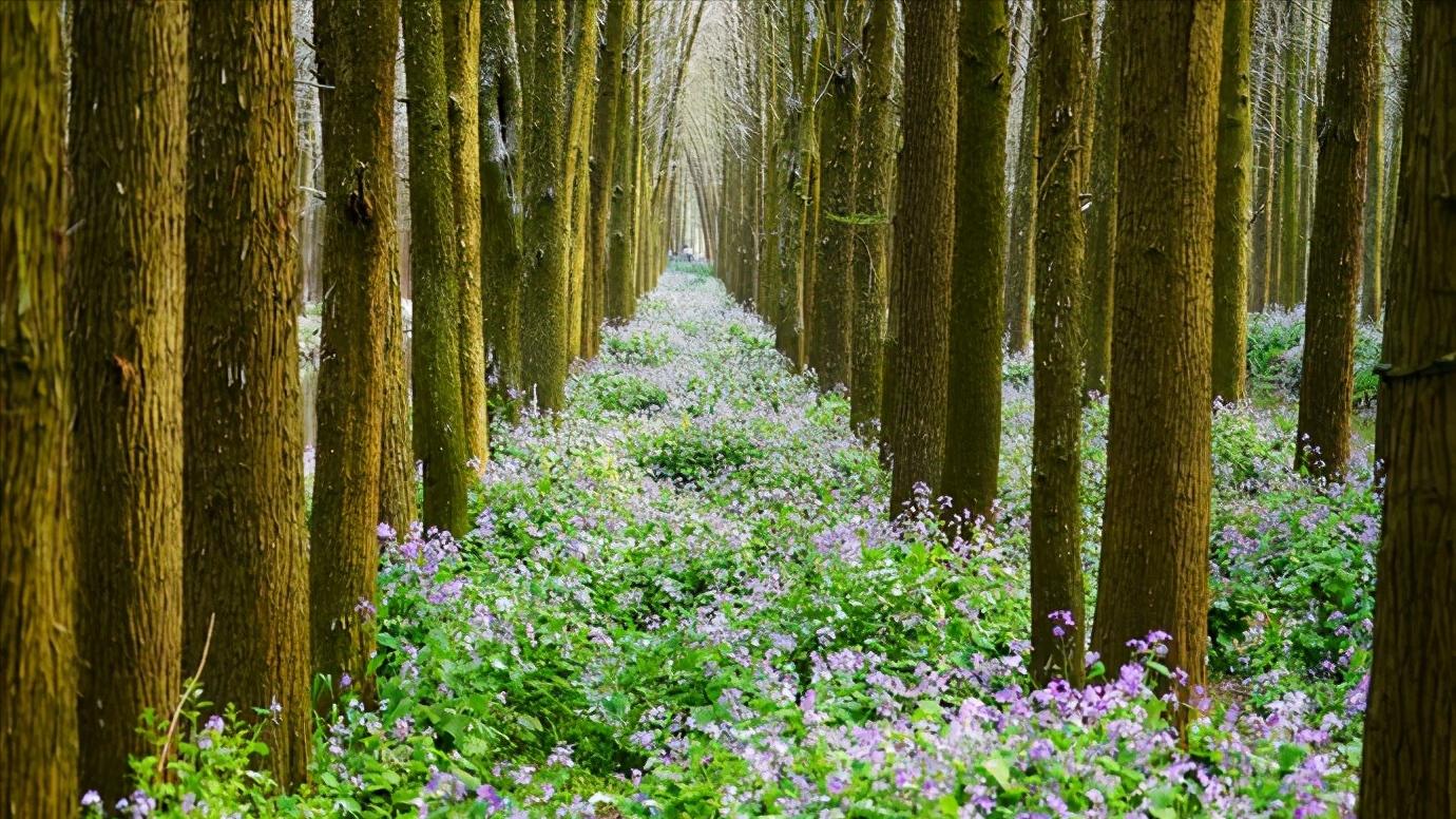 华东江苏篇,浅谈全国各省份