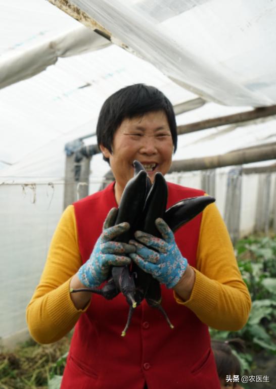 试验田作用更加凸显,试验田高产