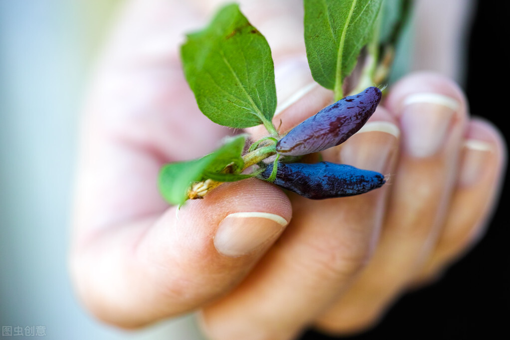 胆汁反流胃不舒服是治胃还是治胆,胃胆汁反流民间秘方