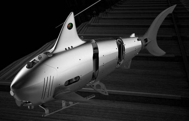 比恐龙还古老的鱼是什么鱼,恐龙时期的鱼类有哪些