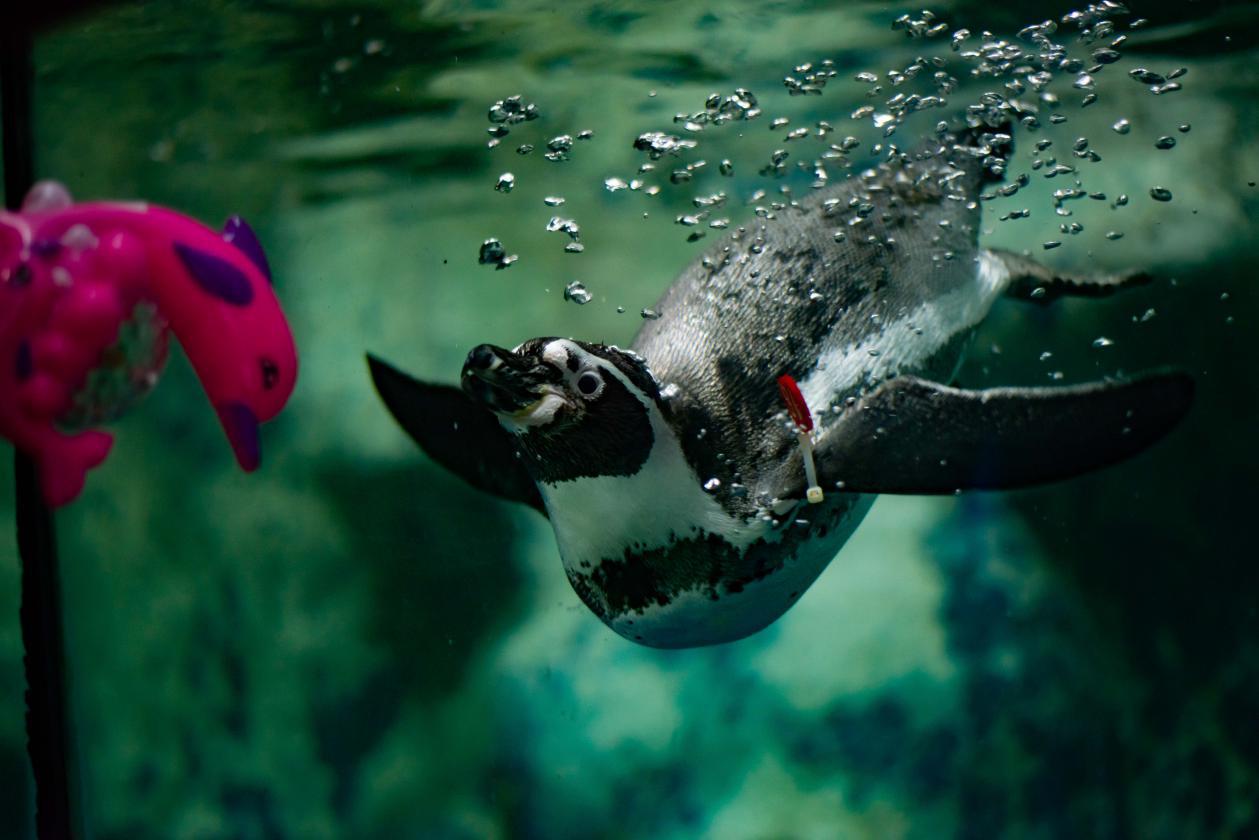 京津冀95元景点大全,京津冀99元景区