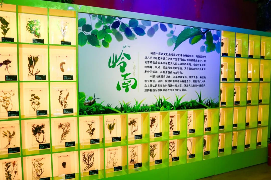 斗门十大旅游景点,斗门有哪些旅游景点值得去