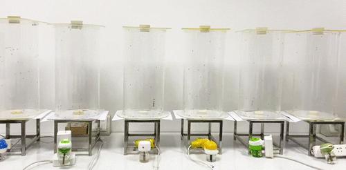 宝宝驱蚊蚊香液测评,宝宝电蚊香驱蚊液哪个无毒