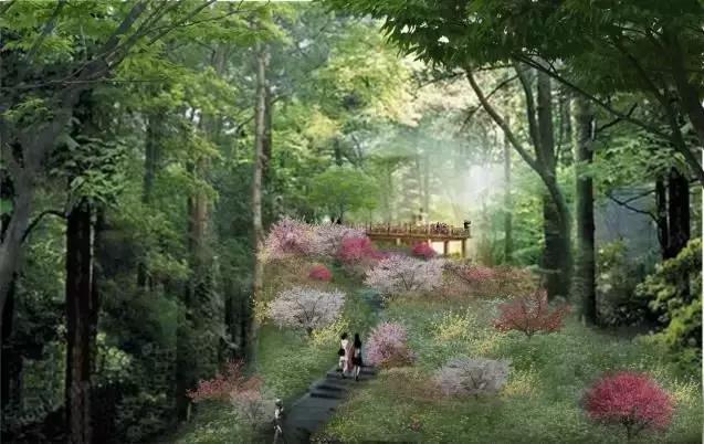 白云山新景,广州白云山开发理念及规划