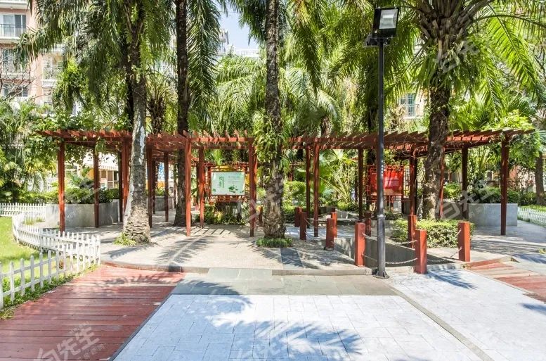 前海北最好的小区，总价500万就能上车