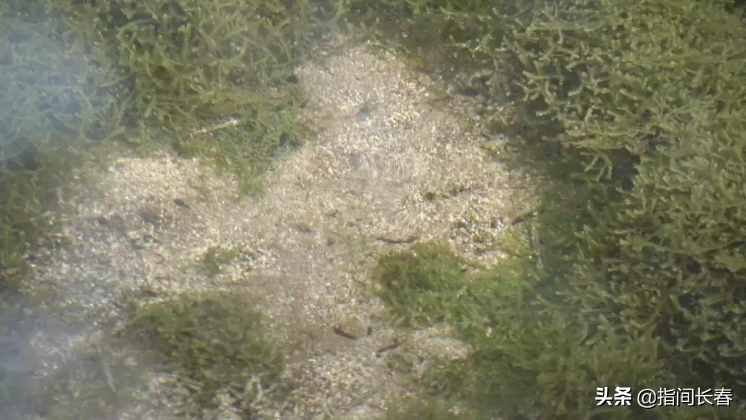 靖宇中国第一矿泉城,靖宇第一矿泉城