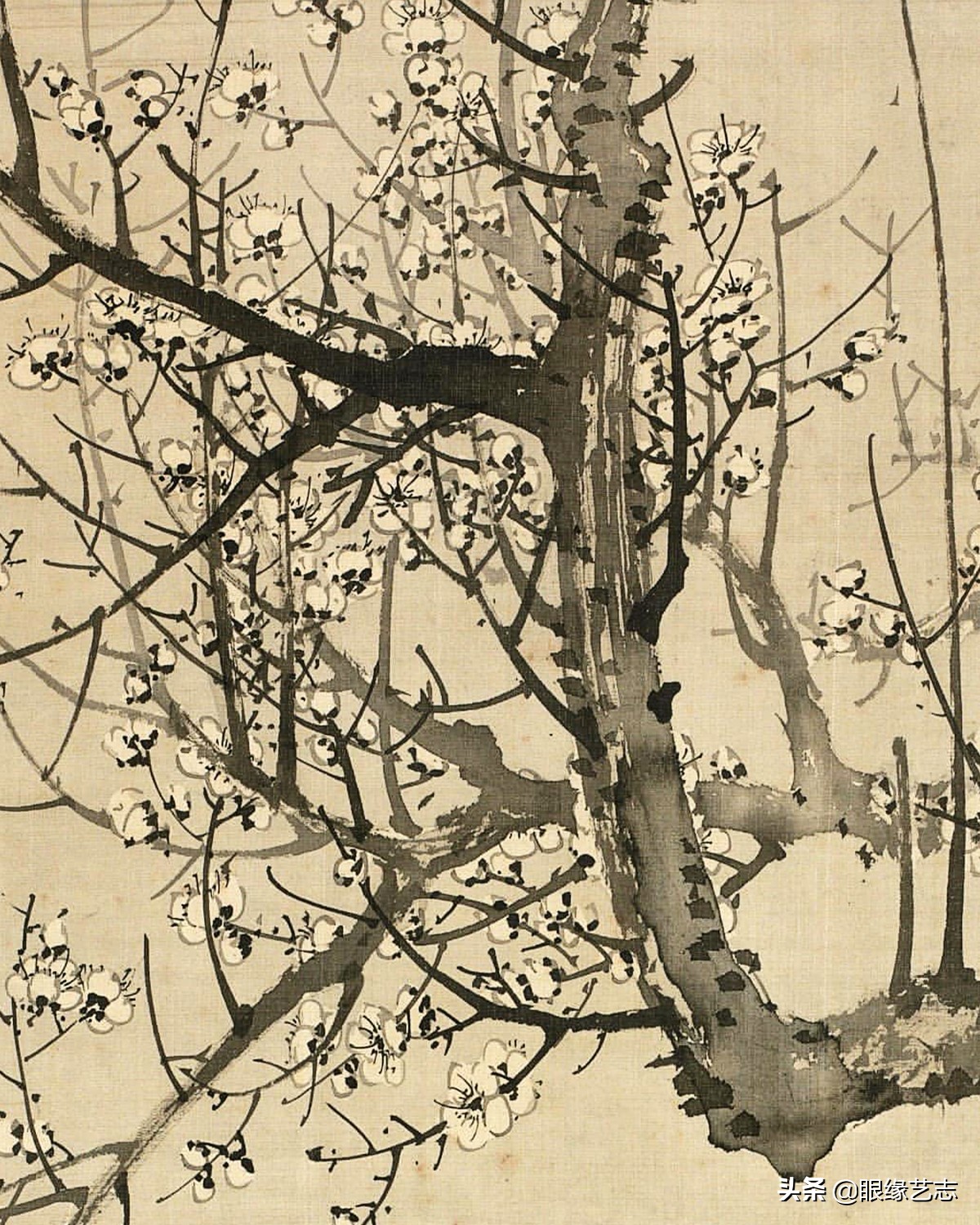 日本100幅中国古代绘画,日本花鸟绘画欣赏