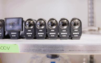 bbc纪录片揭露残忍人类对待动物,bbc动物纪录片造假事件