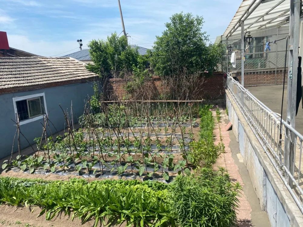 走向我们的小康生活1000字,走向我们的小康生活主题报道