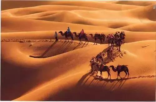 带您探索神秘大西北,一湖倒影一湖诗,半湖金色半湖