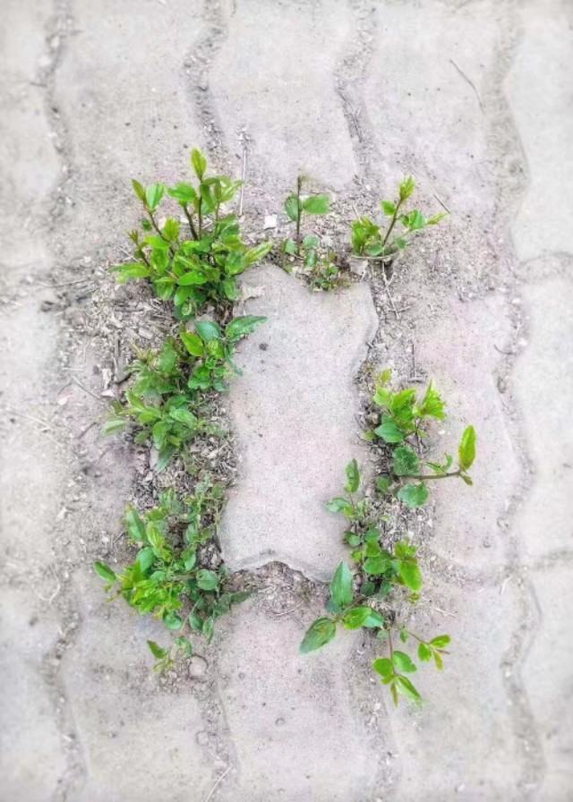 初中生排球基本功训练教学视频,5岁儿童排球入门基本功训练