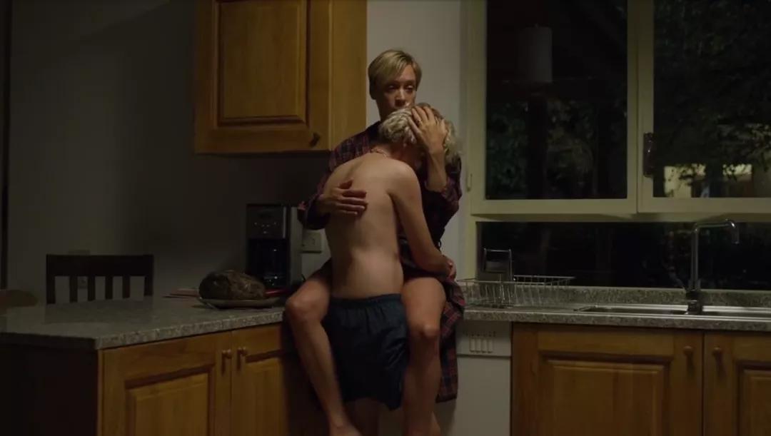 卢卡瓜达尼诺合作电影,卢卡瓜达尼诺电影风格