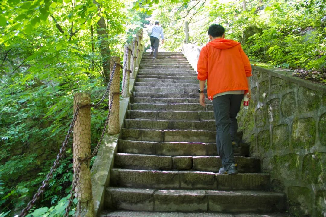 索道9公里,太平山索道80一个来回多久