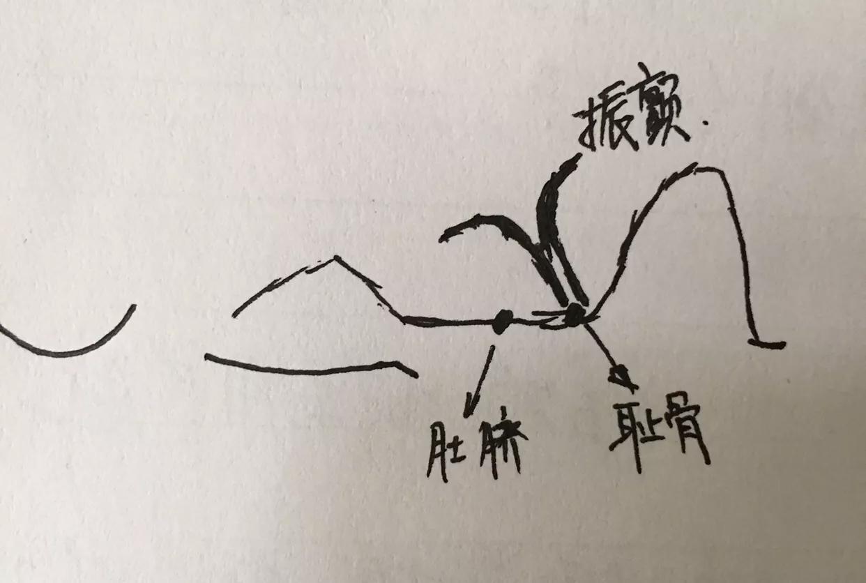 产后子宫下垂、漏尿，便秘，医生都没啥好办法，这2招却很管用