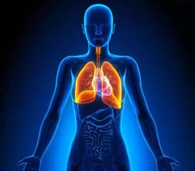 肠道菌群直接影响肠道健康,肠道菌群影响血糖吗