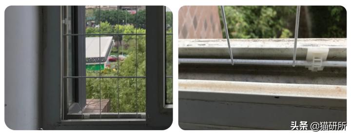 高层养猫到底要不要封窗,封窗养猫