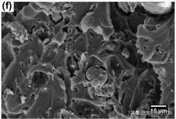 三聚氰胺纤维金雨薇学习翻译