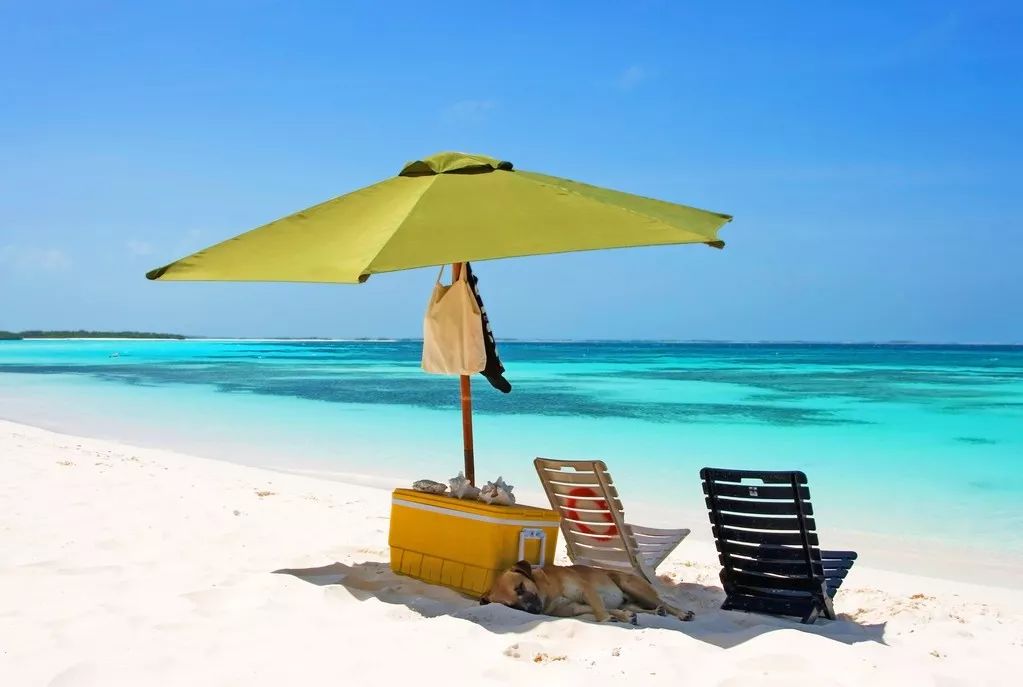 带你去看海最美的海岛,等一个人陪我到海岛