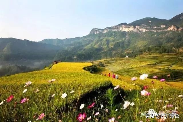 这才是旅游值得去的地方,这才是旅游城市该有的样子