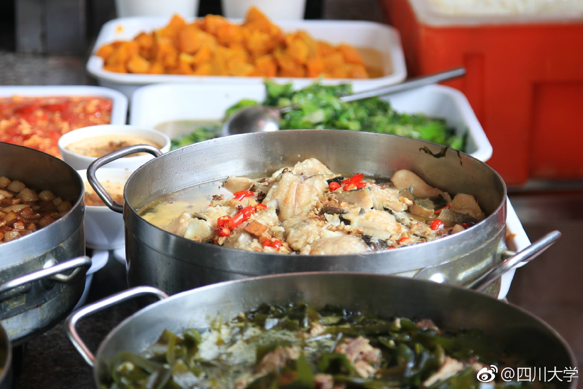 四川的大学食堂伙食,四川大学的饭菜好不好吃