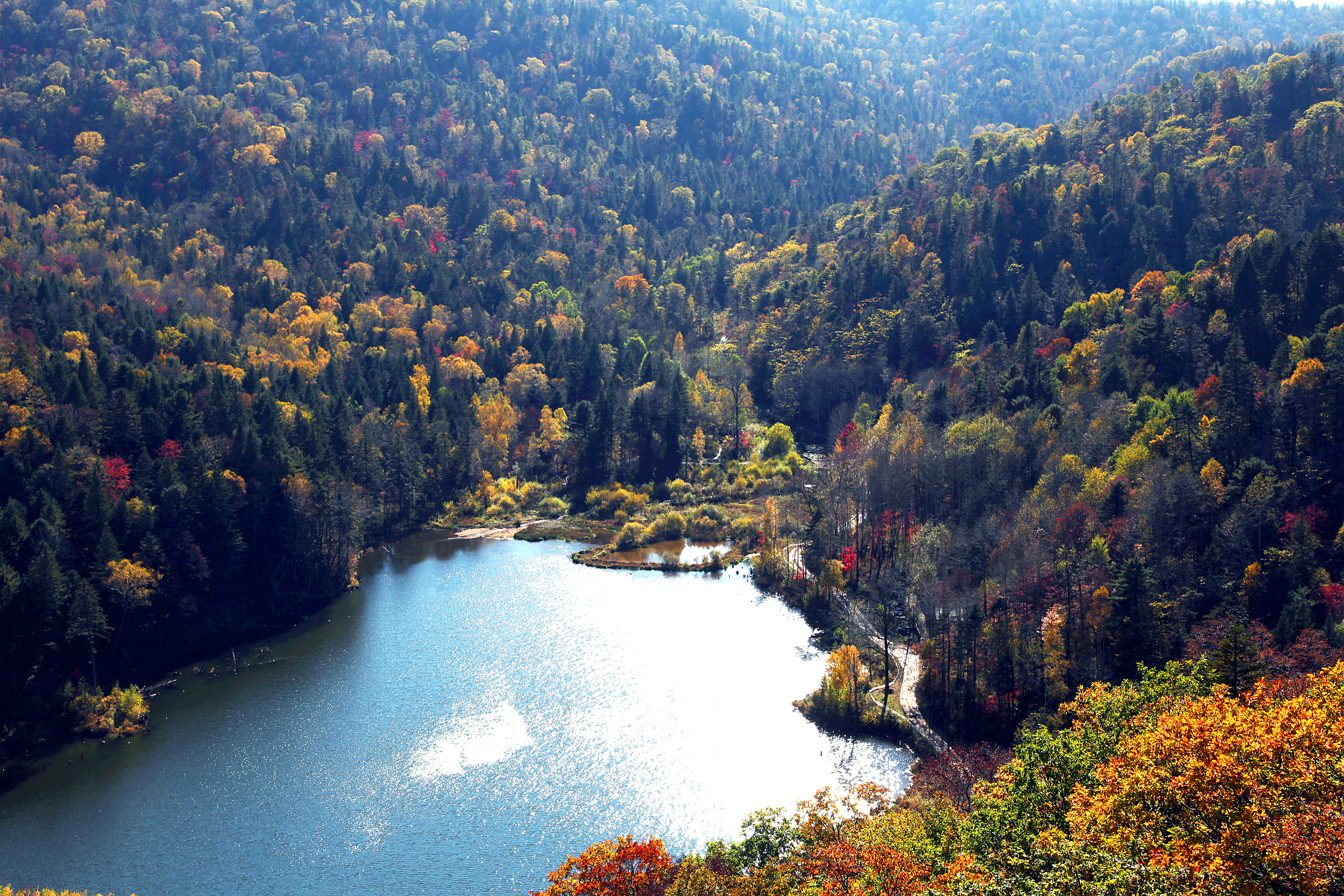 康熙东巡铁岭,康熙一生射杀了多少猛兽