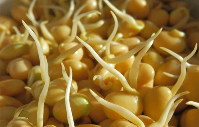 乡情散文田野情怀,春念乡情散文