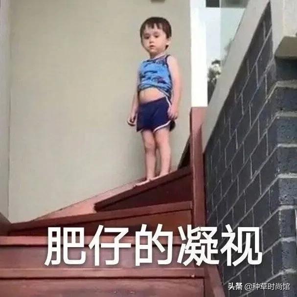 对不起是我不配什么梗,对不起是我不配伴奏