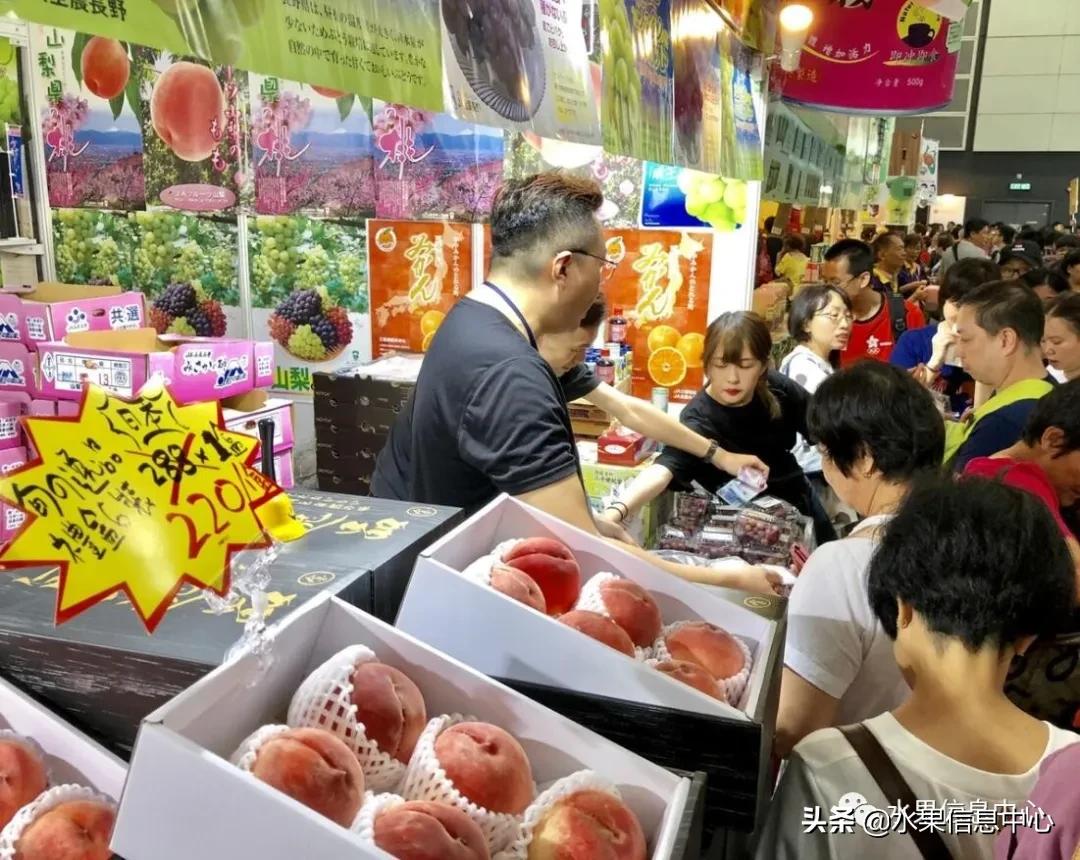 进口水果生意年入千万,批发水果月入百万