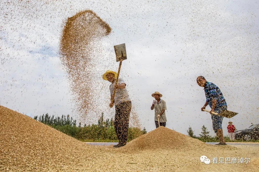 内蒙古巴彦淖尔有多美,巴彦淖尔有多美