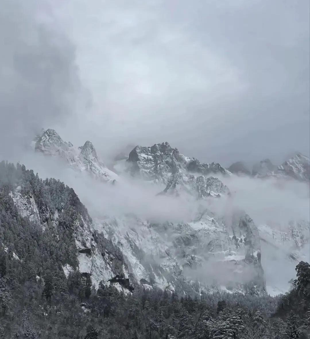 甲友心声患过甲癌的更长寿,甲友心声全文