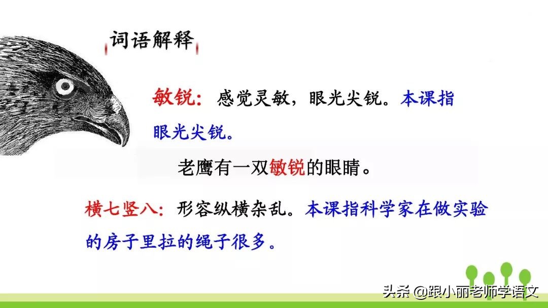 语文思维导图四年级上蝙蝠和雷达,人教版四年级上册蝙蝠和雷达朗读